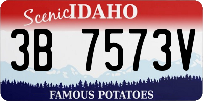 ID license plate 3B7573V