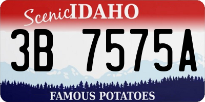 ID license plate 3B7575A