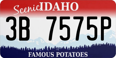 ID license plate 3B7575P