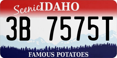 ID license plate 3B7575T
