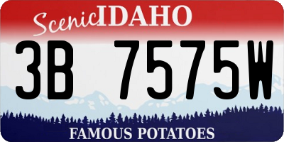 ID license plate 3B7575W