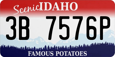 ID license plate 3B7576P