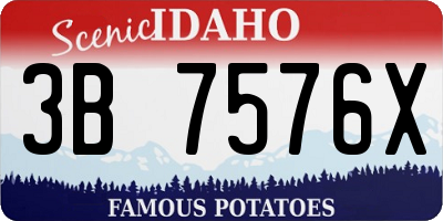 ID license plate 3B7576X