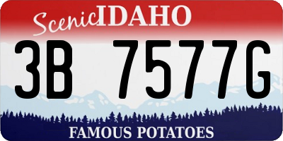 ID license plate 3B7577G