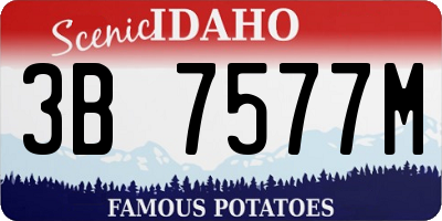 ID license plate 3B7577M