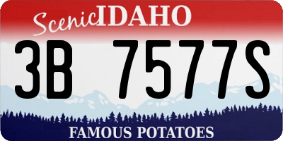 ID license plate 3B7577S