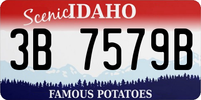 ID license plate 3B7579B