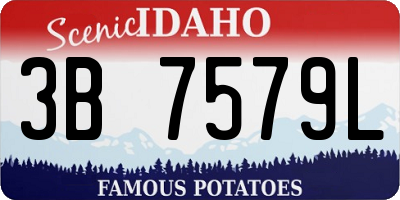 ID license plate 3B7579L