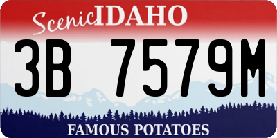 ID license plate 3B7579M