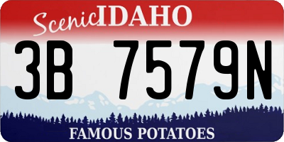 ID license plate 3B7579N