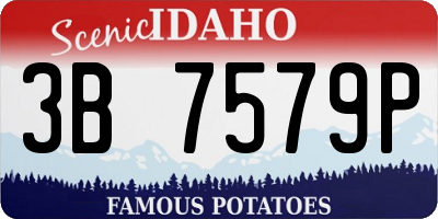 ID license plate 3B7579P