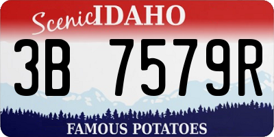 ID license plate 3B7579R