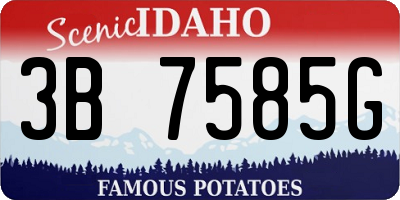 ID license plate 3B7585G