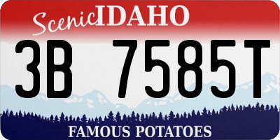 ID license plate 3B7585T