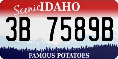ID license plate 3B7589B