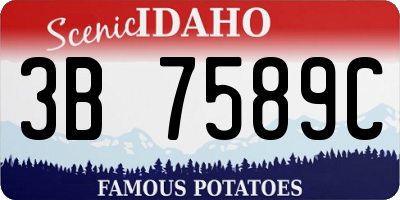 ID license plate 3B7589C