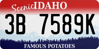 ID license plate 3B7589K