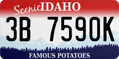 ID license plate 3B7590K