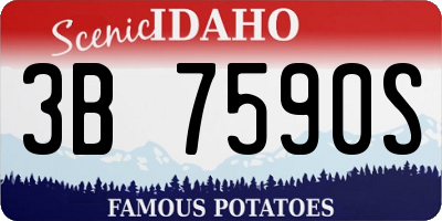 ID license plate 3B7590S