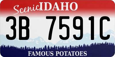 ID license plate 3B7591C