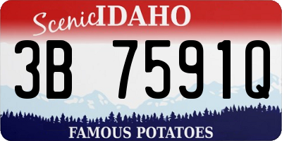 ID license plate 3B7591Q