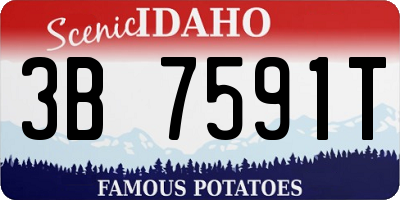 ID license plate 3B7591T