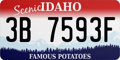 ID license plate 3B7593F