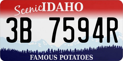 ID license plate 3B7594R