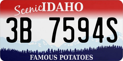ID license plate 3B7594S