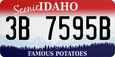 ID license plate 3B7595B