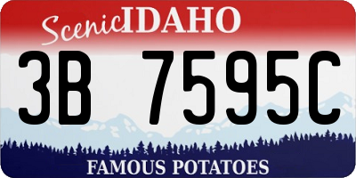 ID license plate 3B7595C