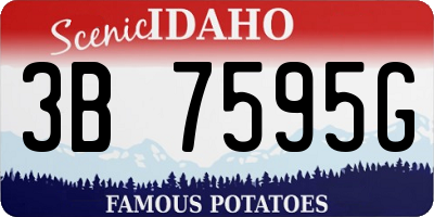 ID license plate 3B7595G