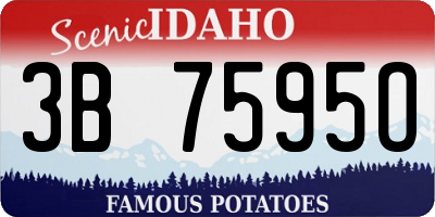 ID license plate 3B7595O