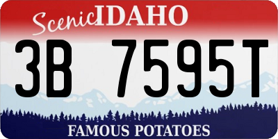 ID license plate 3B7595T