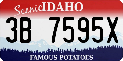 ID license plate 3B7595X