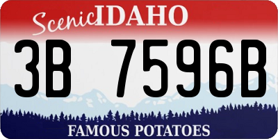 ID license plate 3B7596B