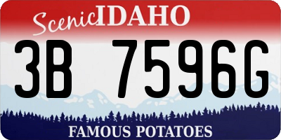 ID license plate 3B7596G