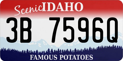 ID license plate 3B7596Q