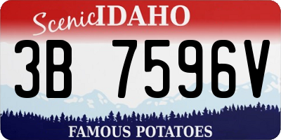 ID license plate 3B7596V
