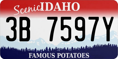ID license plate 3B7597Y
