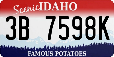 ID license plate 3B7598K