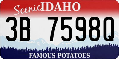 ID license plate 3B7598Q