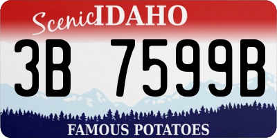 ID license plate 3B7599B