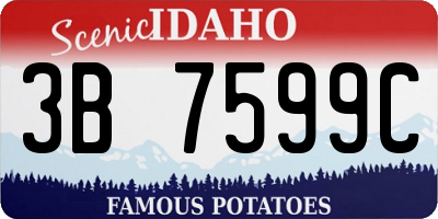 ID license plate 3B7599C