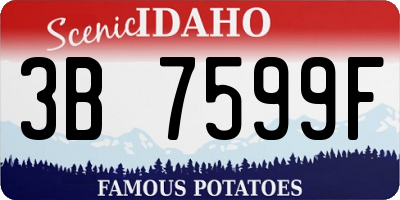 ID license plate 3B7599F