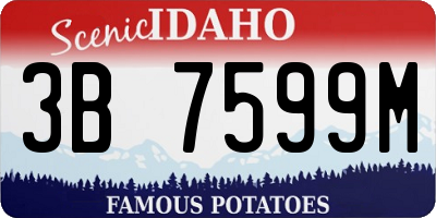 ID license plate 3B7599M