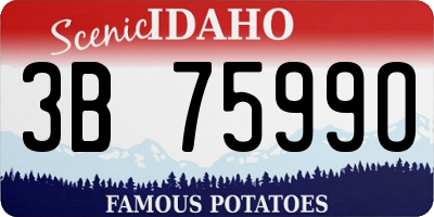 ID license plate 3B7599O