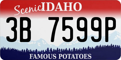 ID license plate 3B7599P