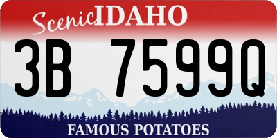 ID license plate 3B7599Q