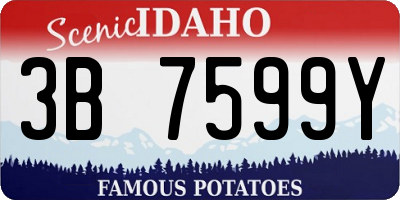ID license plate 3B7599Y
